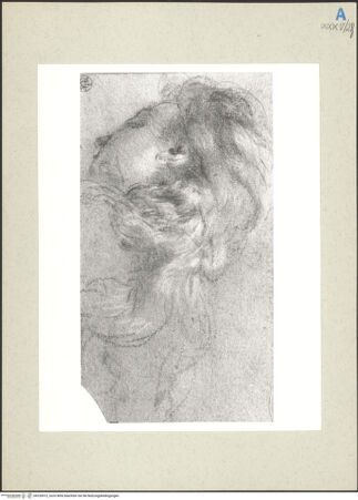 Vorderseite von bh235972_recto