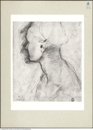 Vorderseite von bh235980_recto