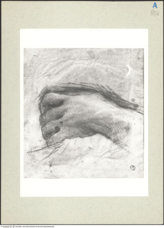 Vorderseite von bh235981_recto