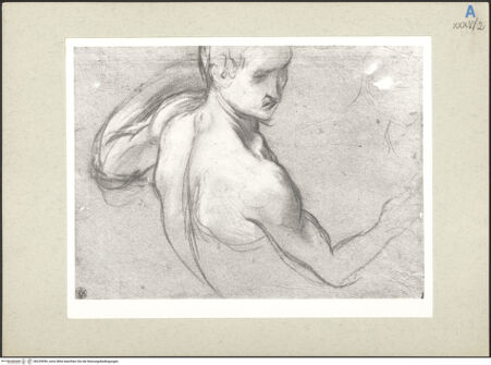 Vorderseite von bh235990_recto