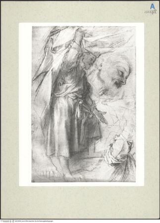 Vorderseite von bh235993_recto