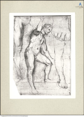 Vorderseite von bh235994_recto