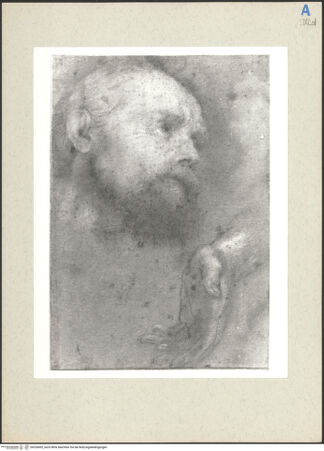 Vorderseite von bh236002_recto