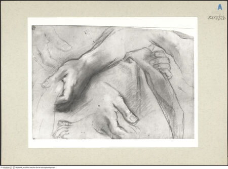 Vorderseite von bh236006_recto