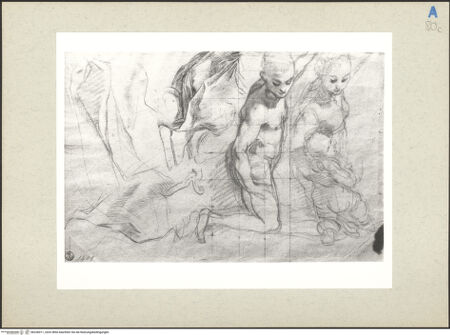 Vorderseite von bh236011_recto