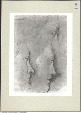 Vorderseite von bh236015_recto