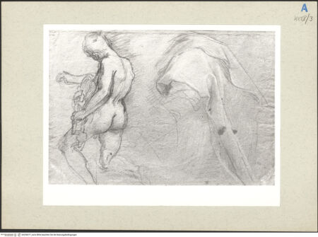 Vorderseite von bh236017_recto