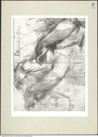 Vorderseite von bh236020_recto