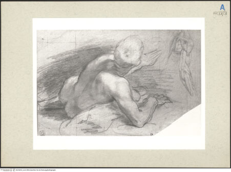 Vorderseite von bh236022_recto