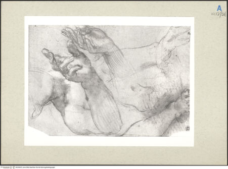 Vorderseite von bh236023_recto