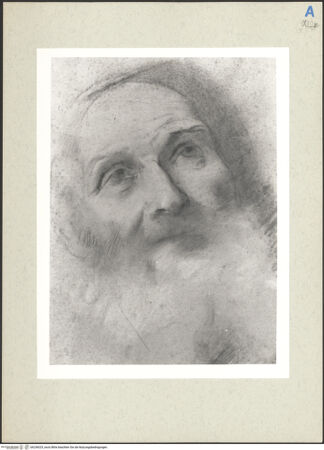 Vorderseite von bh236025_recto