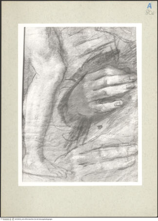 Vorderseite von bh236026_recto