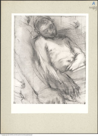 Vorderseite von bh236030_recto