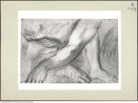 Vorderseite von bh236031_recto