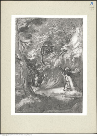 Vorderseite von bh236037_recto