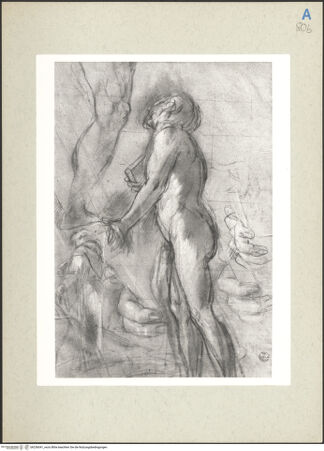 Vorderseite von bh236041_recto