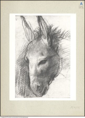 Vorderseite von bh236043_recto