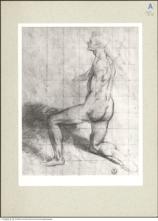 Vorderseite von bh236050_recto