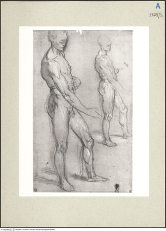 Vorderseite von bh236051_recto