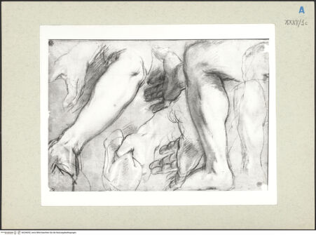 Vorderseite von bh236052_recto