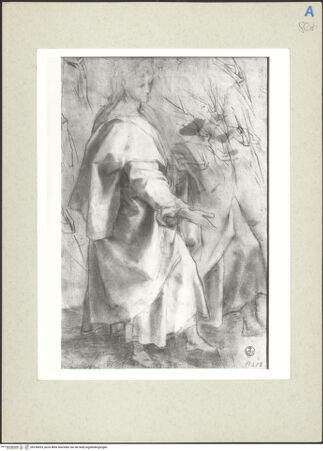 Vorderseite von bh236053_recto