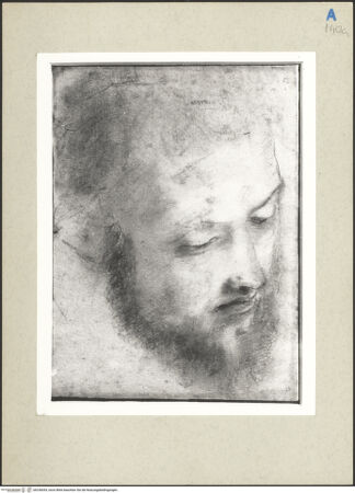 Vorderseite von bh236054_recto