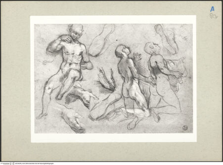 Vorderseite von bh236056_recto