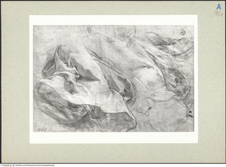 Vorderseite von bh236060_recto