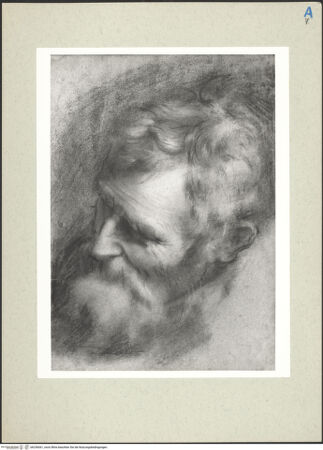 Vorderseite von bh236061_recto