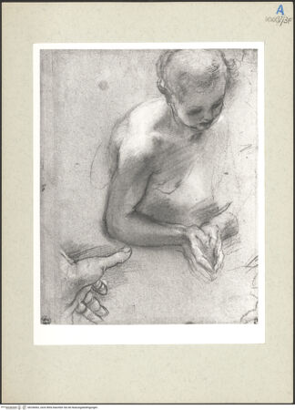 Vorderseite von bh236062_recto