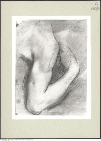 Vorderseite von bh236065_recto