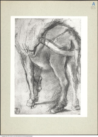 Vorderseite von bh236075_recto