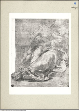 Vorderseite von bh236084_recto