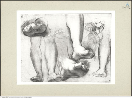 Vorderseite von bh236088_recto