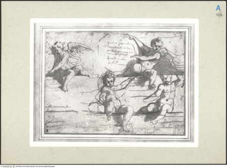 Vorderseite von bh236094_recto