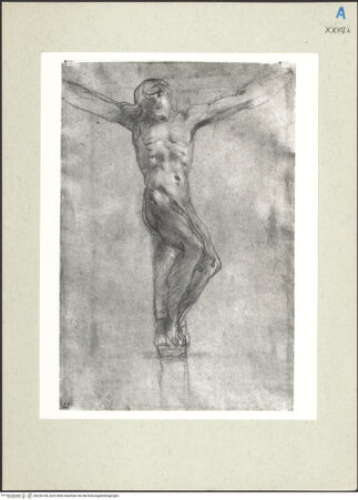 Vorderseite von bh236108_recto