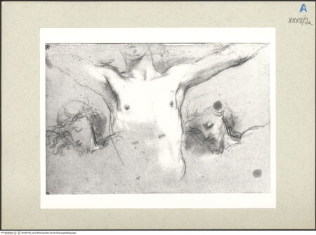 Vorderseite von bh236109_recto