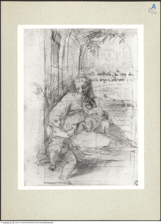 Vorderseite von bh236114_recto