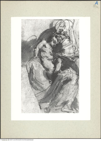 Vorderseite von bh236115_recto