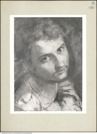 Vorderseite von bh236116_recto