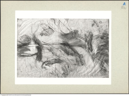 Vorderseite von bh236120_recto