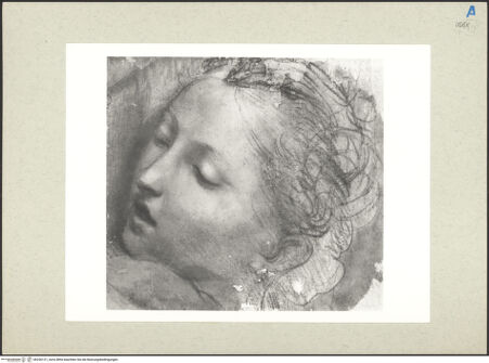 Vorderseite von bh236121_recto