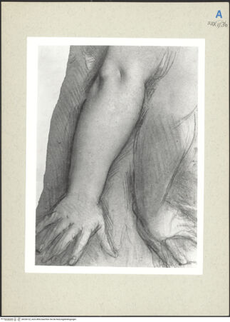 Vorderseite von bh236122_recto