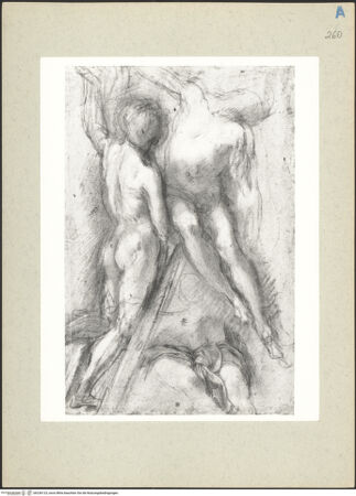 Vorderseite von bh236123_recto