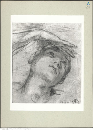 Vorderseite von bh236124_recto