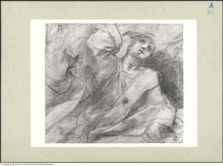 Vorderseite von bh236126_recto