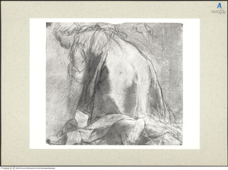 Vorderseite von bh236130_recto