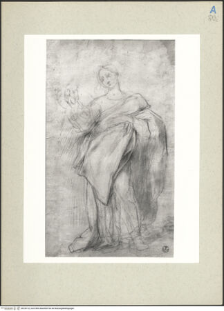 Vorderseite von bh236132_recto