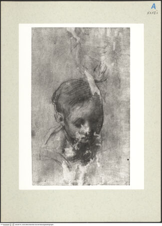 Vorderseite von bh236141_recto