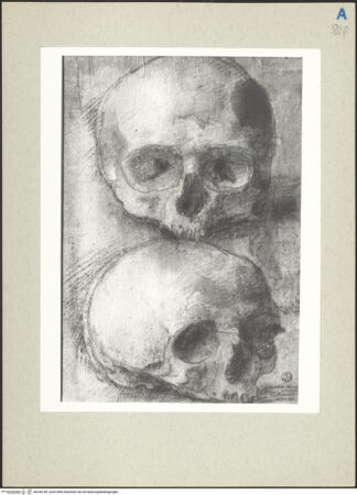 Vorderseite von bh236149_recto